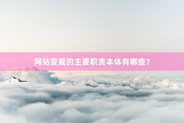 网站爱戴的主要职责本体有哪些?